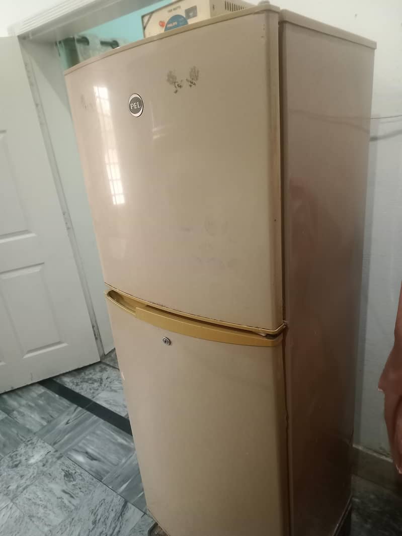 PEL استعمال شدہ پیل فریج برائے فروخت – بہترین حالت 2