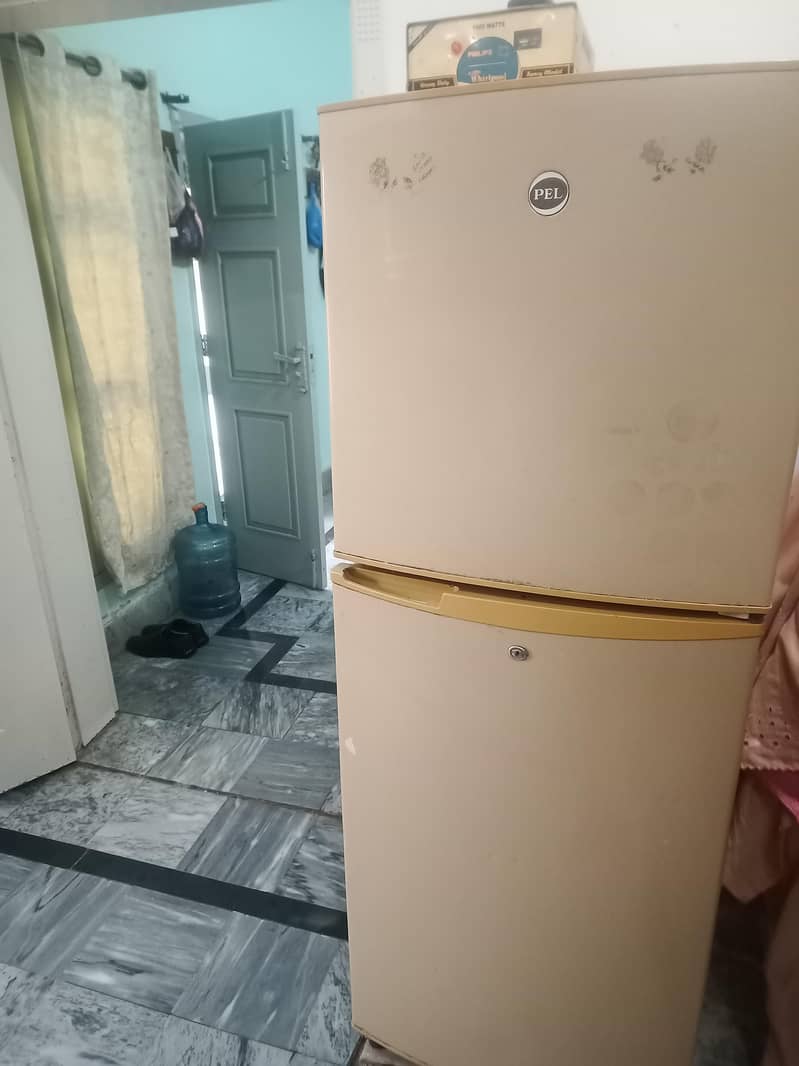 PEL استعمال شدہ پیل فریج برائے فروخت – بہترین حالت 4