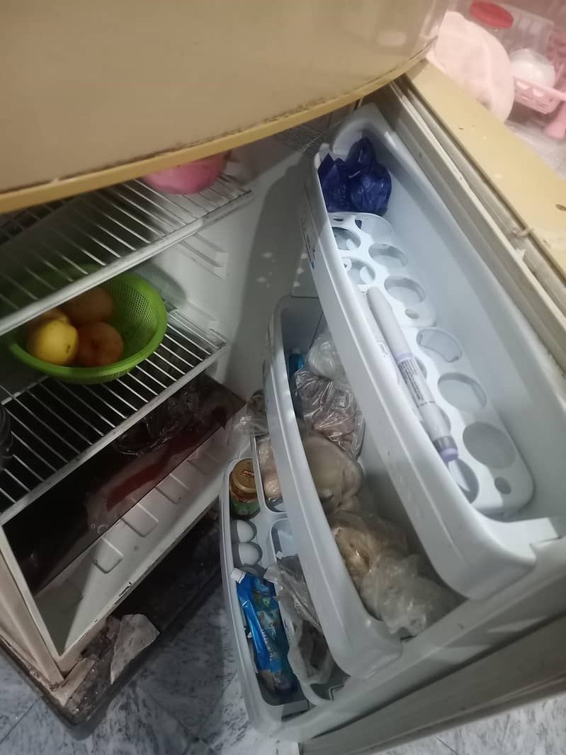 PEL استعمال شدہ پیل فریج برائے فروخت – بہترین حالت 5