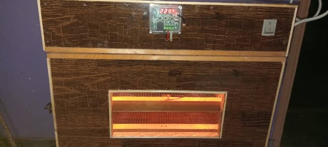 100 eggs incubator