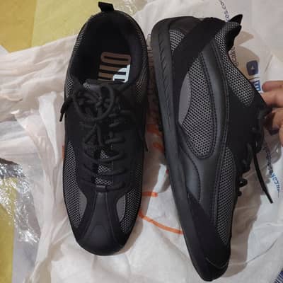 Outfitters pair of sneakers from recent collection.