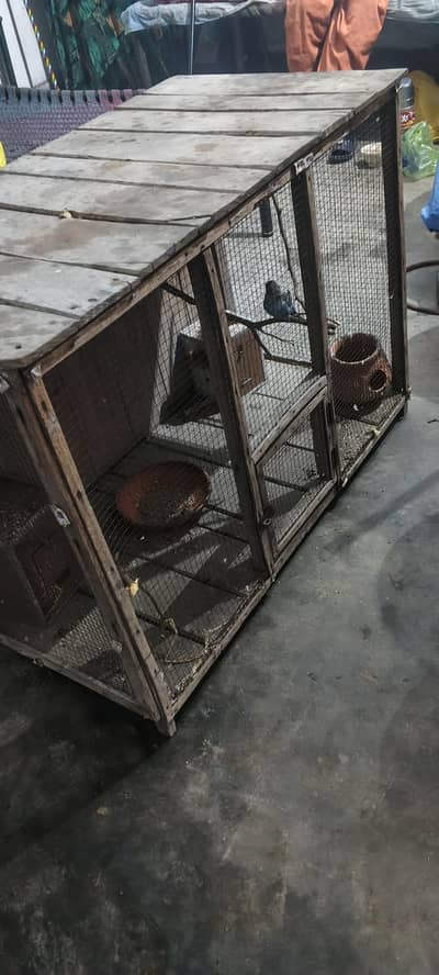 bird cage
