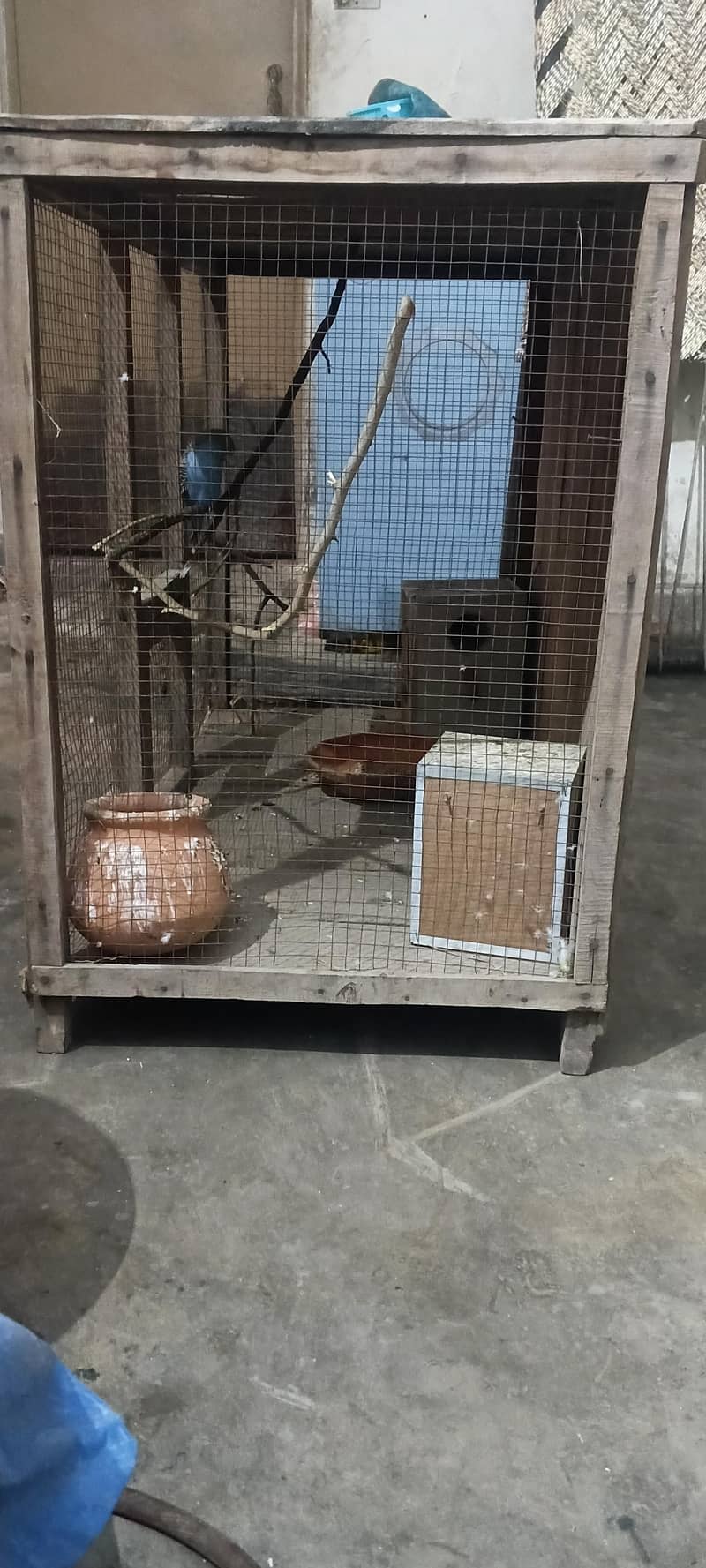 bird cage 1