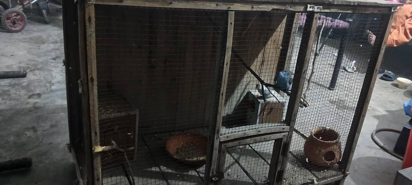 bird cage 2