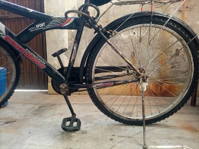 good bicycle hai 03037802695