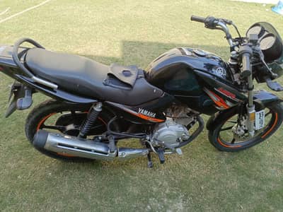 Yamaha YBR 125 2020