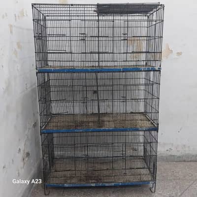 Master folding cage for sale