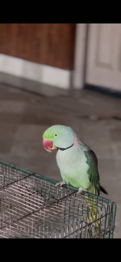 Contact num :03453300000