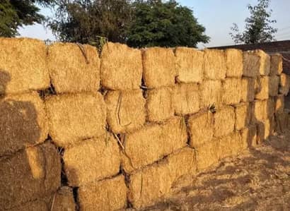 BHOOSA TOORI FOR SALE AT 900