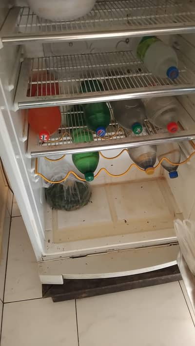 Dawlance Refrigerator contact  03122780151