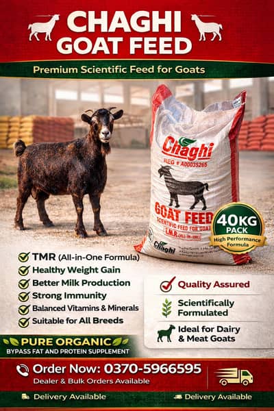 Chaghi Goat Feed – Premium Scientific Feed for Goats & kids