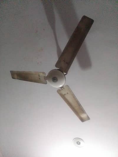 ceiling fan