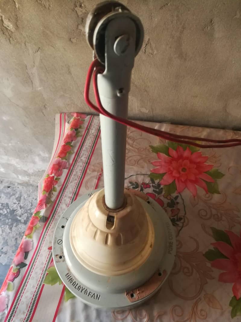 Ceiling Fan 4