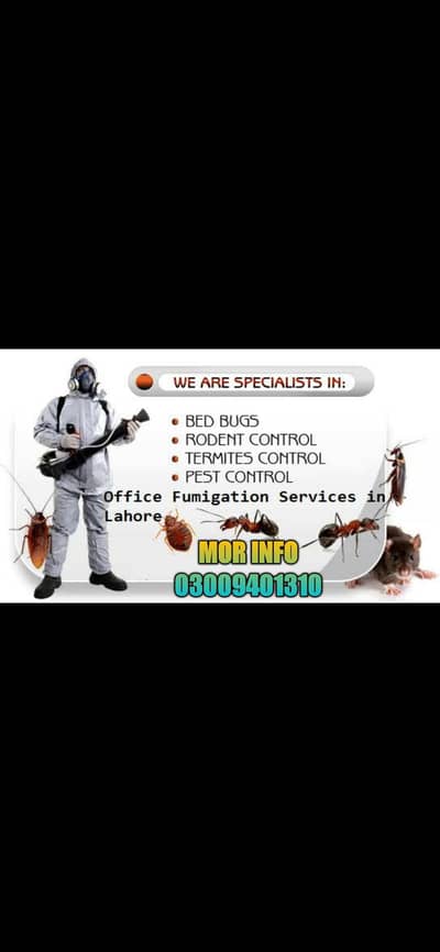 cockroach contro/pest control/termite control/fumigation