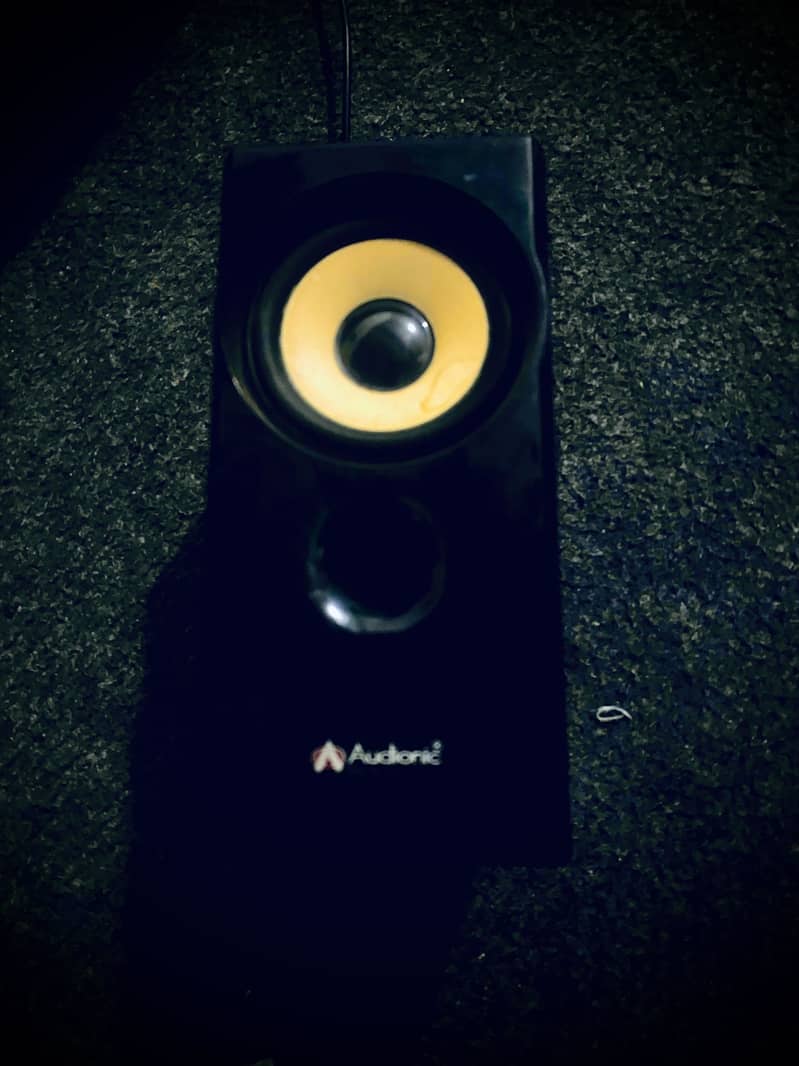 Audionic woofer 4