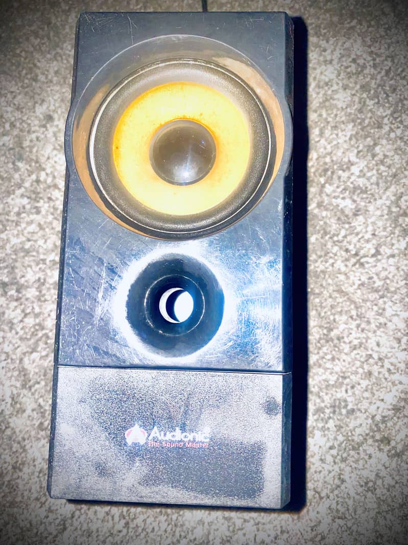 Audionic woofer 1