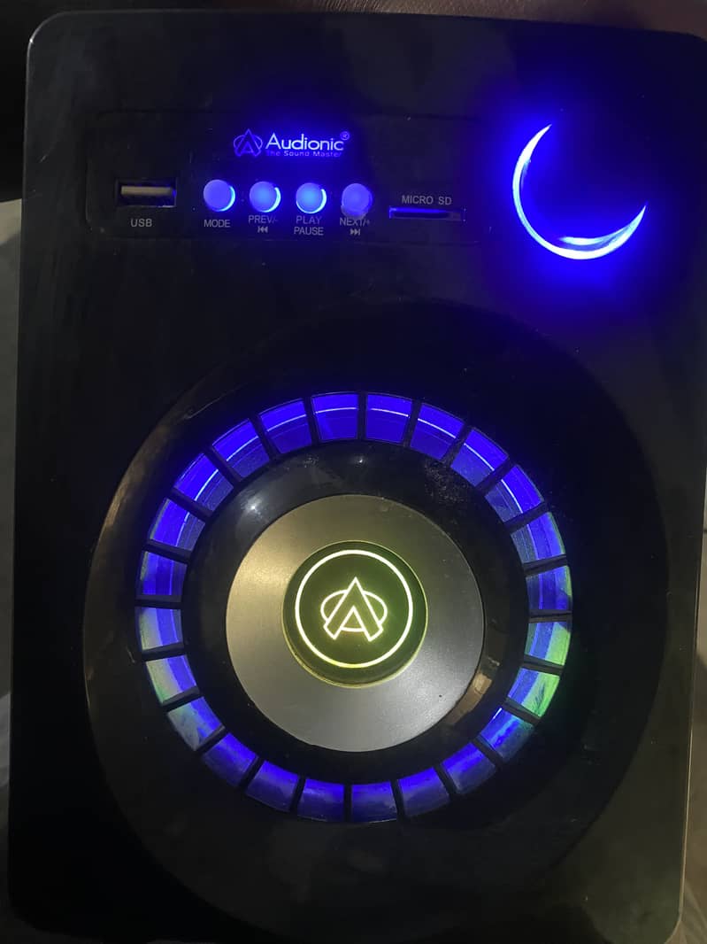 Audionic woofer 2