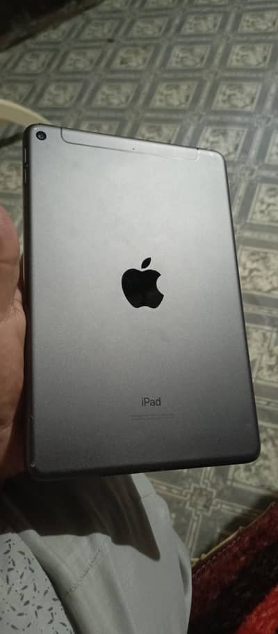 i pad mini 5 256 gb All ok
