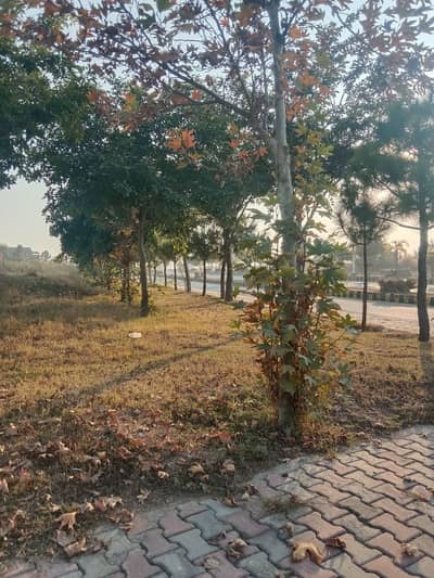 A Valuable Plot In An Important Sector. In This Sector There Is A Limited Streets And Proper Seperate Patch Of 5 Marla Category.