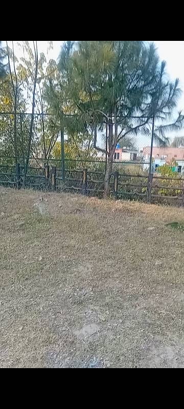 Prime Location & Solid Land Kanal Property Is Available For Its Different Impact, front open for lawn and gardening.