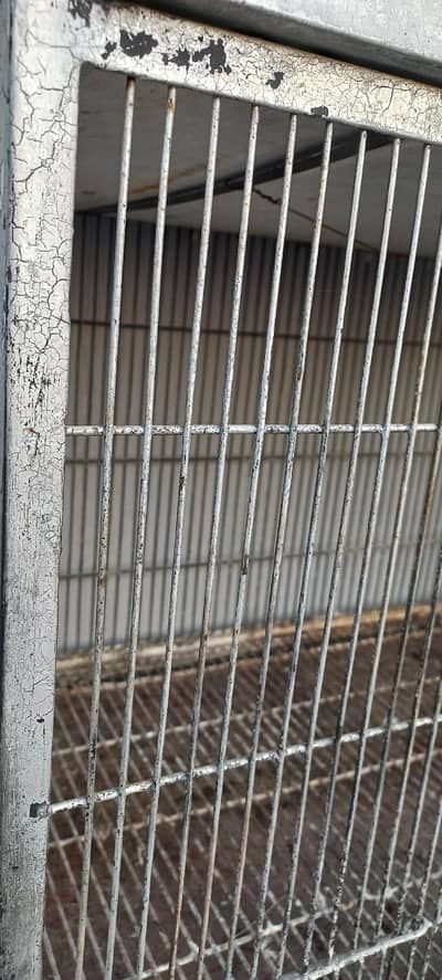 Cage for hens and birds