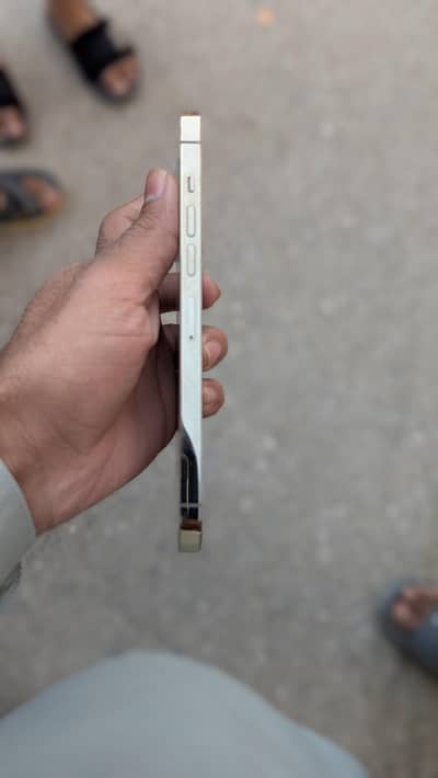 13 pro max best for camera