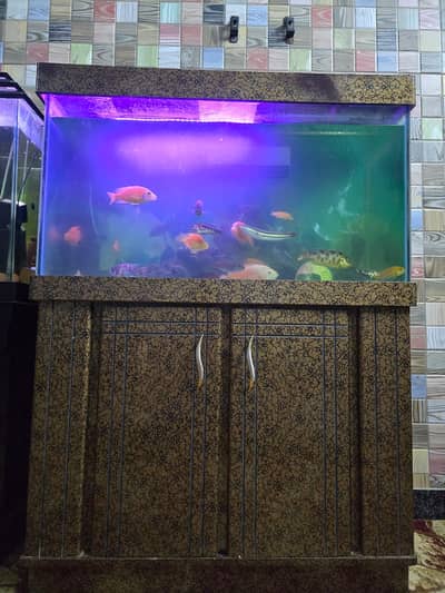 3 Feet Aquarium (With all Accessories)