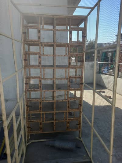Birds and cage for sale