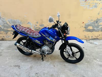 Al Hamd Motors
