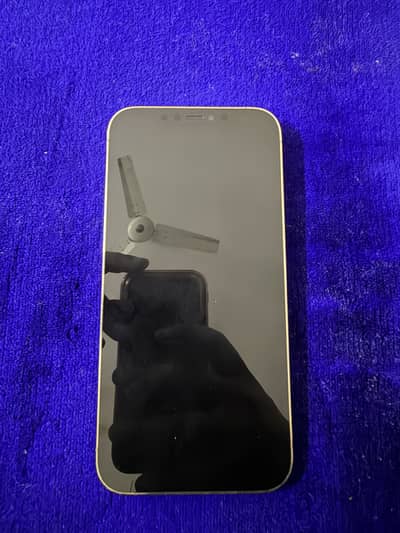 Iphone 12 pro max dual sim pta approved