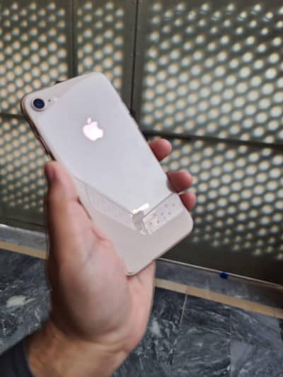 I phone 8 pta approved new condition brand new antique price