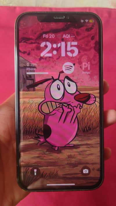 iphone 12 pro 128gb bypass