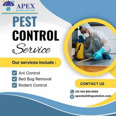 Dengue Spary/Termite Control/Deemak Control/Fumgation/Pest control