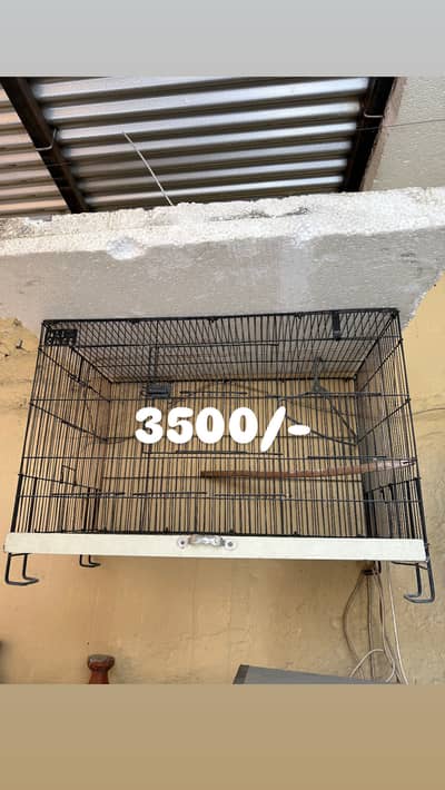 Cagess and Incubator for parrots / cockatiels, lovebirds etc