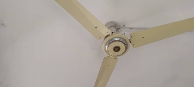 Super millat two fans