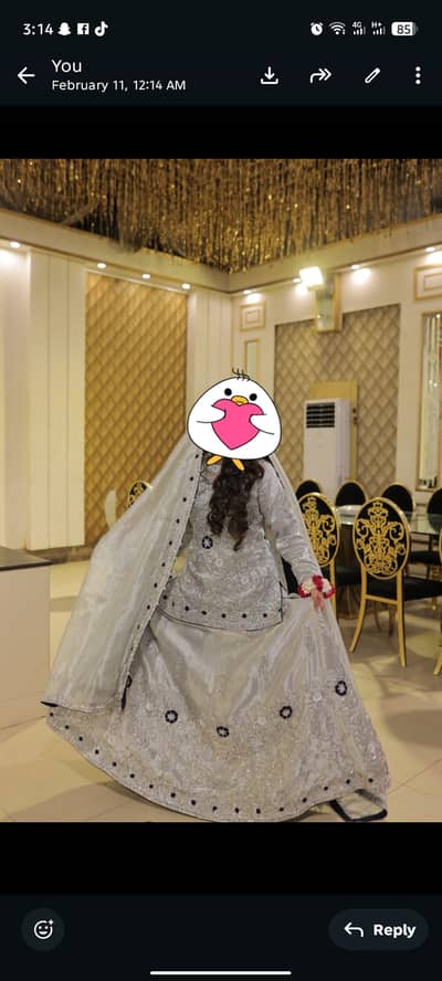 Valima Lehnga  ,excellent condition