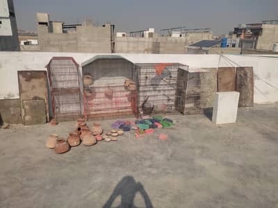 cage for sale 03053990941