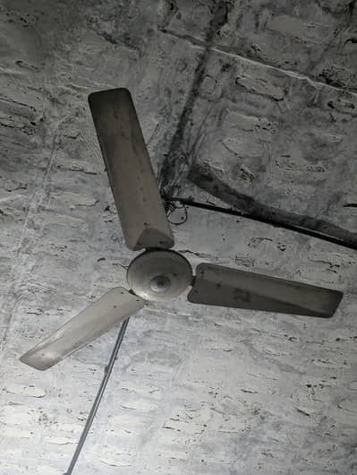 ceiling fan