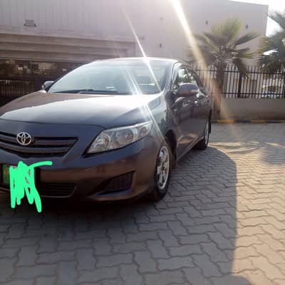 Chat piller diggi Geniun