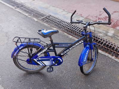  Cruiser Cycle for Sale – Best Condition 