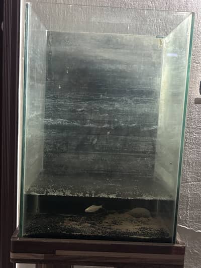 Aquarium available for urgent sale 13” x 18”