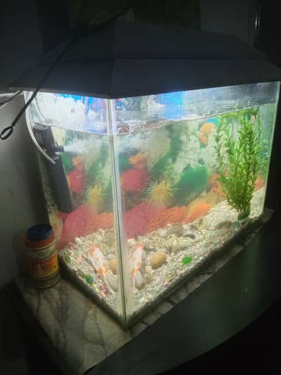Aquarium like a new. . . filter sant with all sets 1fish alive