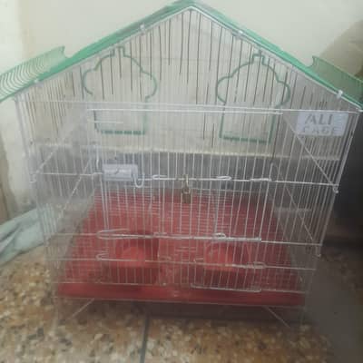 Birds Cage