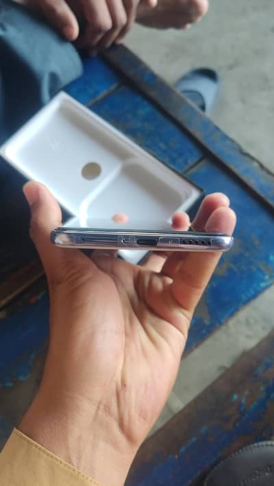vivo v50