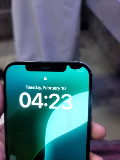 iphone 12 pro max original panel