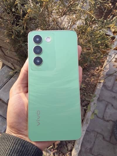 vivo y100 8+8 256 gb  total geniune