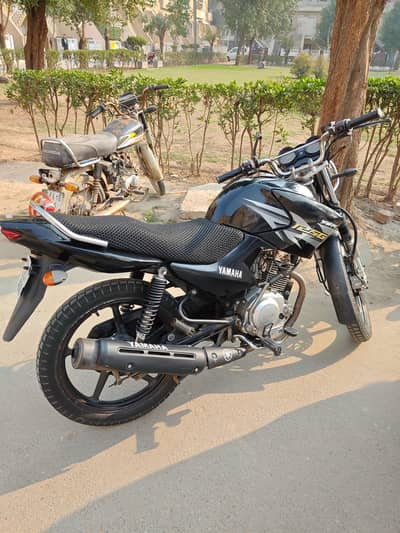 Yamaha YBR 125G | Model 2019