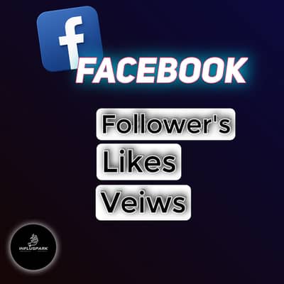 Instagram, TikTok & Facebook Followers Service