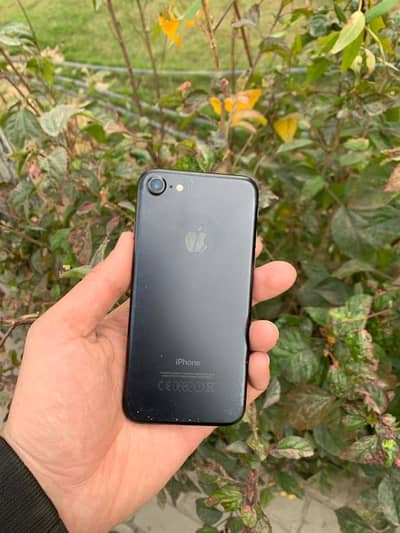 Iphone 7 pta