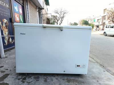 Haier D freezer inverter Singel door Genuine (0306/4462/443) wahhset